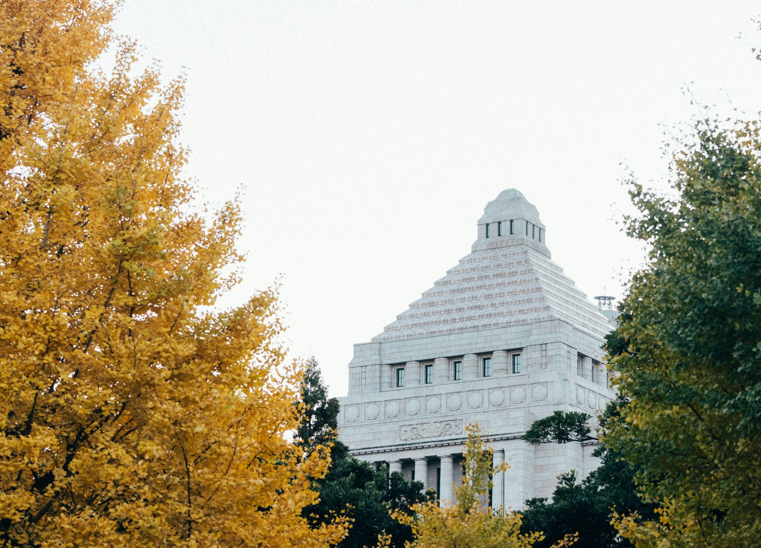 中央区議会2025の法案一覧